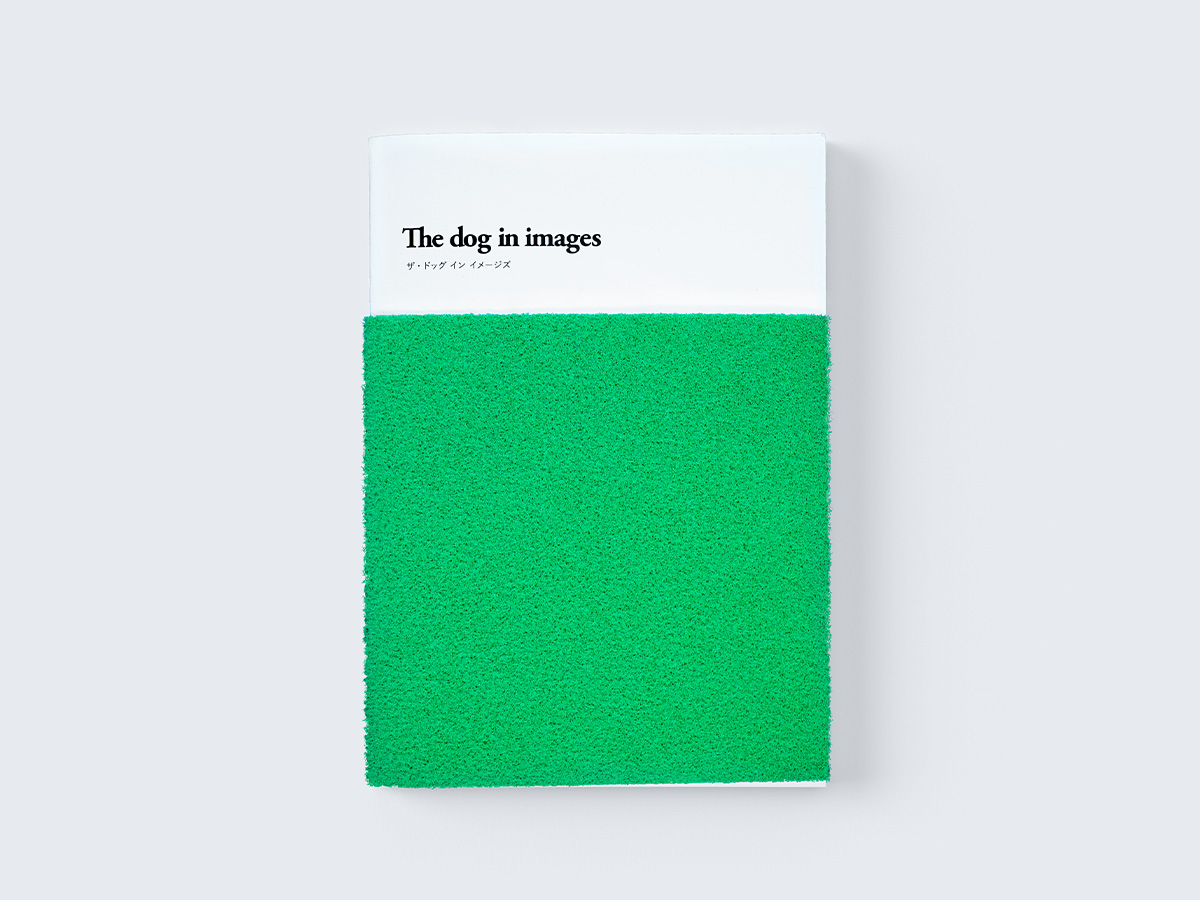 The dog in images